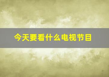 今天要看什么电视节目