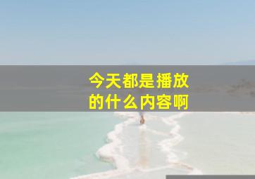 今天都是播放的什么内容啊