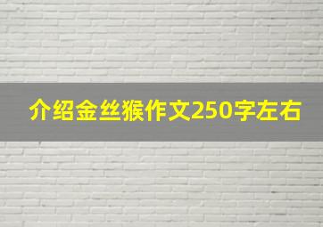 介绍金丝猴作文250字左右