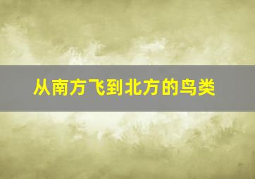 从南方飞到北方的鸟类