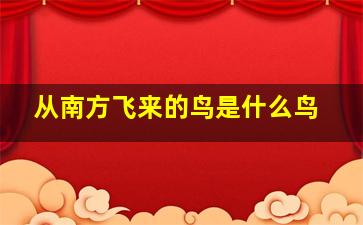 从南方飞来的鸟是什么鸟