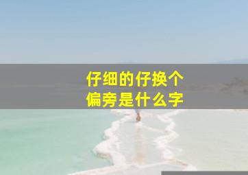 仔细的仔换个偏旁是什么字