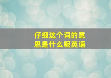 仔细这个词的意思是什么呢英语