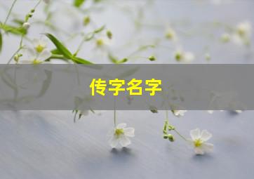 传字名字