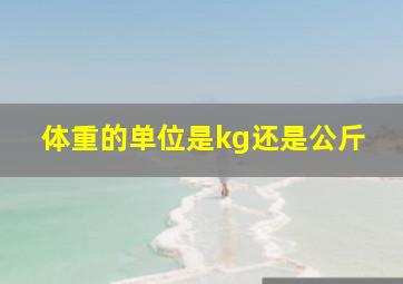 体重的单位是kg还是公斤