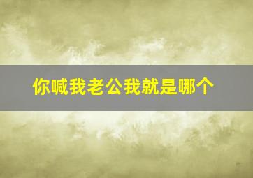 你喊我老公我就是哪个