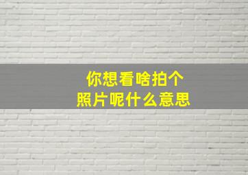 你想看啥拍个照片呢什么意思