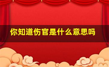 你知道伤官是什么意思吗