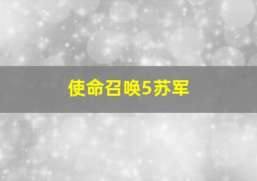 使命召唤5苏军