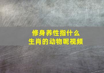 修身养性指什么生肖的动物呢视频