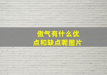 傲气有什么优点和缺点呢图片