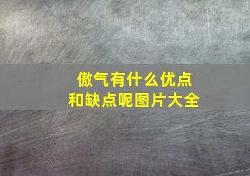 傲气有什么优点和缺点呢图片大全