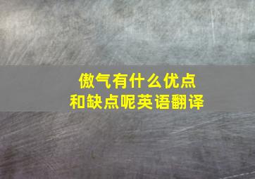 傲气有什么优点和缺点呢英语翻译