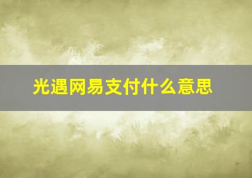 光遇网易支付什么意思