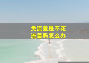 免流量是不花流量吗怎么办