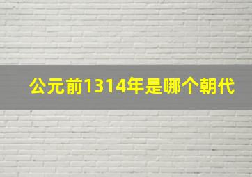 公元前1314年是哪个朝代