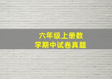 六年级上册数学期中试卷真题