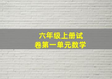 六年级上册试卷第一单元数学