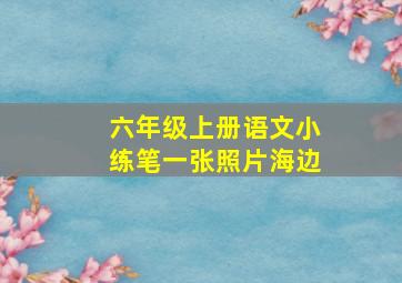 六年级上册语文小练笔一张照片海边