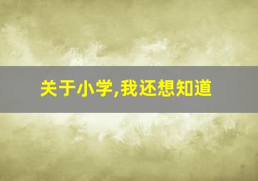 关于小学,我还想知道