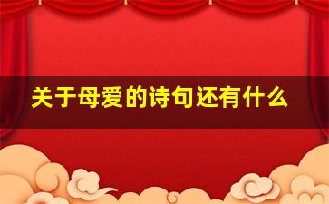 关于母爱的诗句还有什么