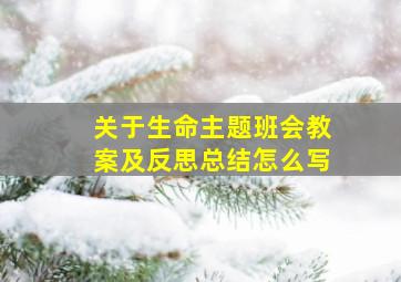 关于生命主题班会教案及反思总结怎么写