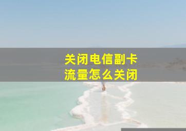 关闭电信副卡流量怎么关闭