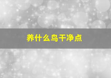 养什么鸟干净点