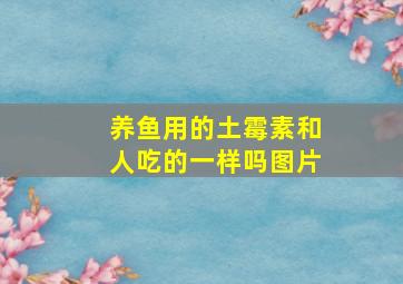 养鱼用的土霉素和人吃的一样吗图片