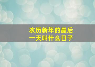 农历新年的最后一天叫什么日子