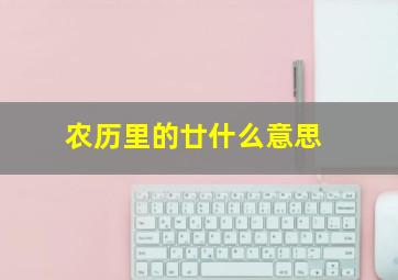 农历里的廿什么意思