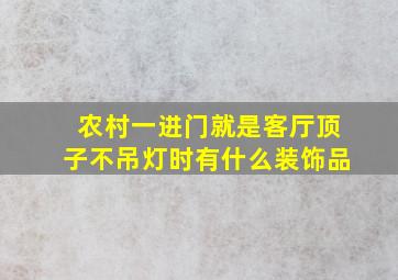 农村一进门就是客厅顶子不吊灯时有什么装饰品