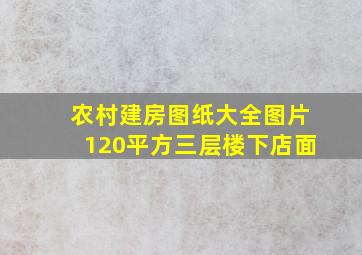 农村建房图纸大全图片120平方三层楼下店面