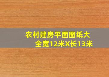 农村建房平面图纸大全宽12米X长13米