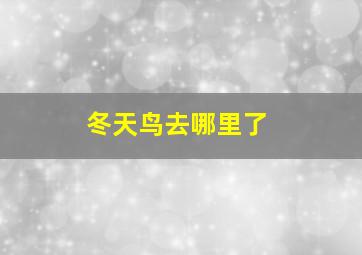 冬天鸟去哪里了