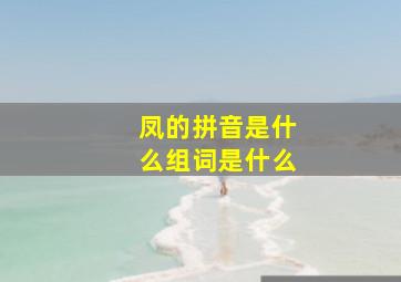 凤的拼音是什么组词是什么