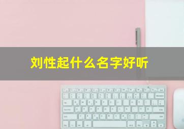 刘性起什么名字好听