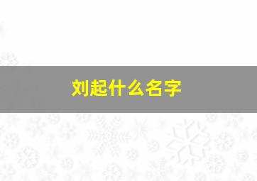 刘起什么名字