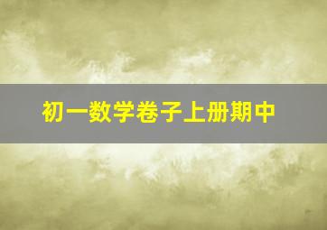 初一数学卷子上册期中