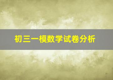 初三一模数学试卷分析