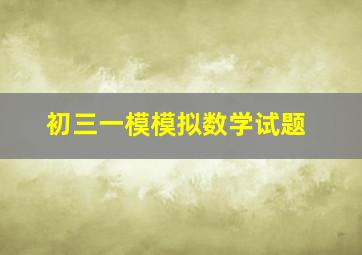 初三一模模拟数学试题