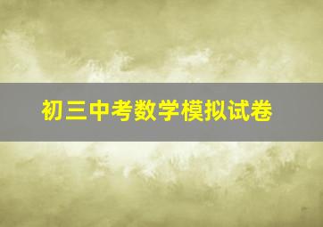 初三中考数学模拟试卷