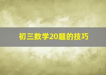 初三数学20题的技巧