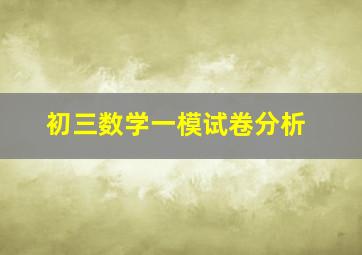 初三数学一模试卷分析