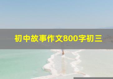 初中故事作文800字初三