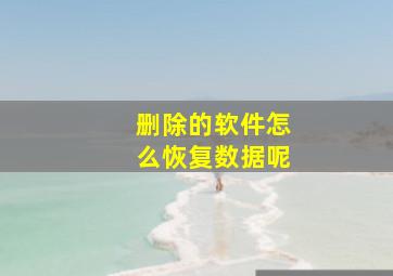 删除的软件怎么恢复数据呢