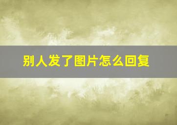 别人发了图片怎么回复