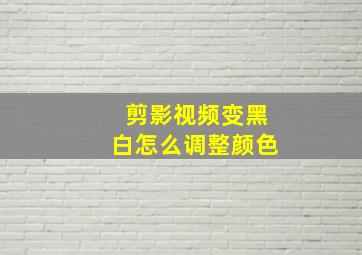 剪影视频变黑白怎么调整颜色