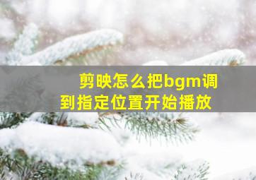 剪映怎么把bgm调到指定位置开始播放