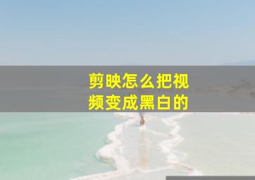 剪映怎么把视频变成黑白的